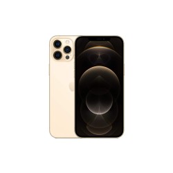 Apple iPhone 12 Pro - 256 Go - Reconditionné Grade OMG